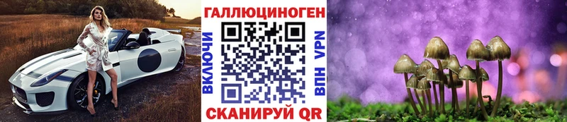 МЕГА вход  Славгород  Псилоцибиновые грибы Psilocybe 